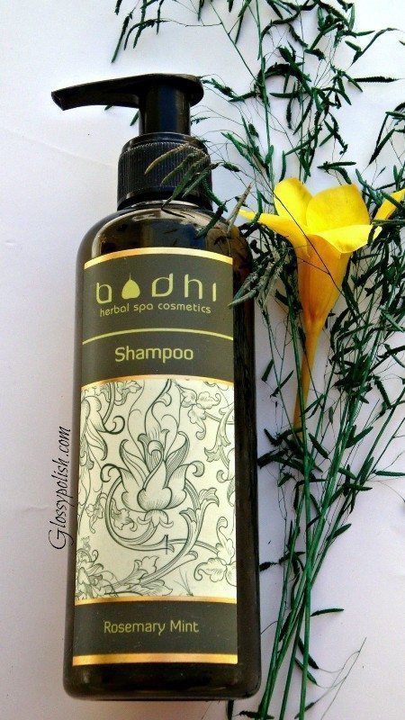 Bodhi Rosemary Mint Shampoo Review